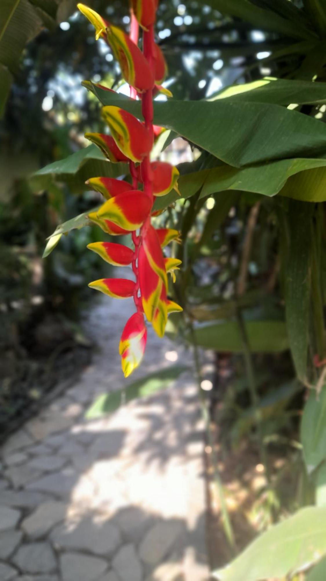 Nha Lua Homestay Ninh Bình Kültér fotó