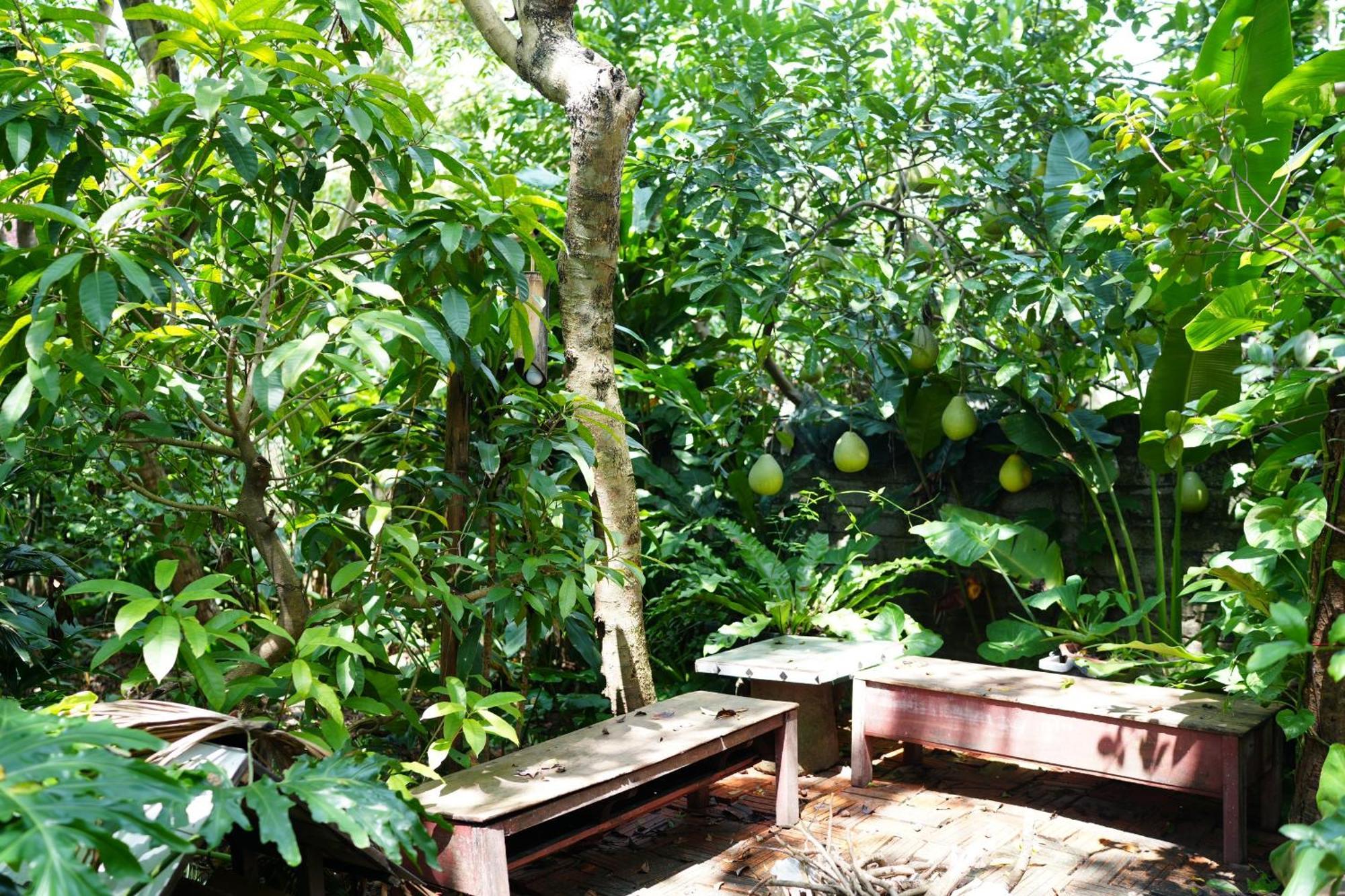 Nha Lua Homestay Ninh Bình Kültér fotó