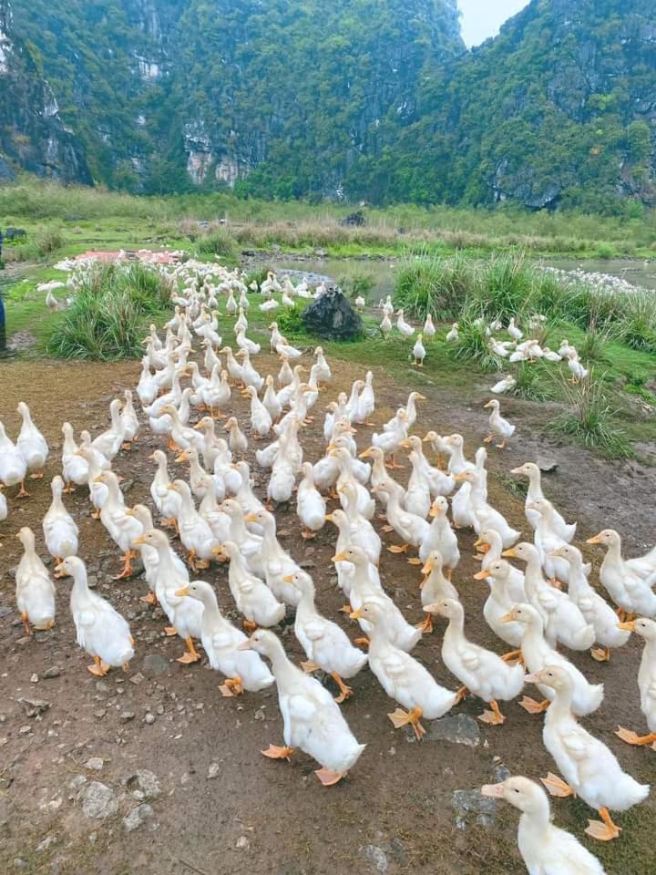 Nha Lua Homestay Ninh Bình Kültér fotó