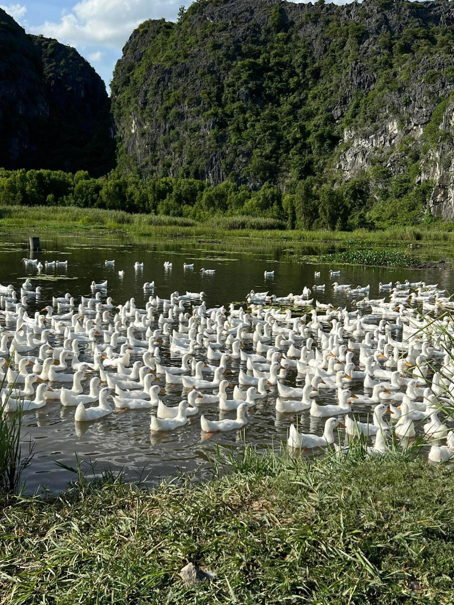 Nha Lua Homestay Ninh Bình Kültér fotó