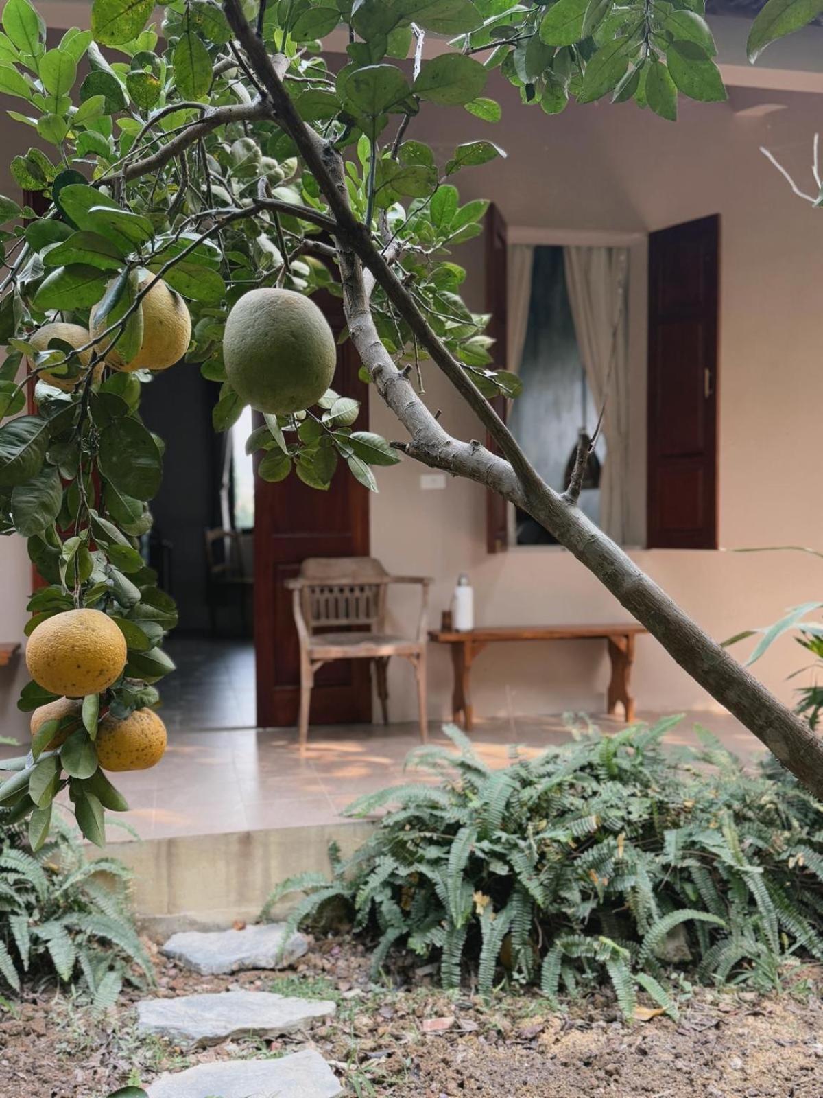 Nha Lua Homestay Ninh Bình Kültér fotó